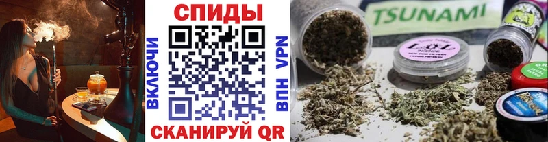 БУТИРАТ буратино Краснообск