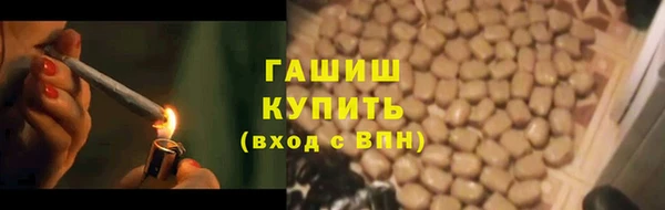 стаф Вязьма